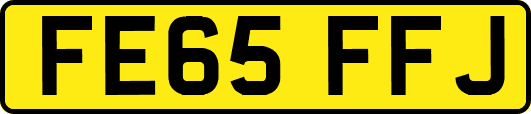 FE65FFJ