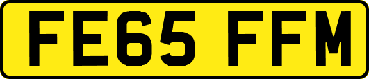 FE65FFM