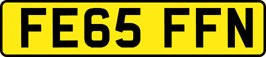 FE65FFN