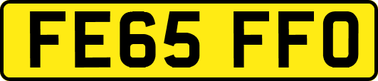 FE65FFO