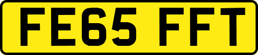 FE65FFT