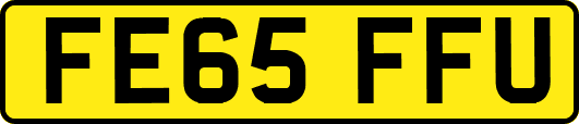 FE65FFU
