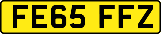 FE65FFZ