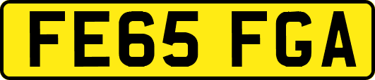 FE65FGA