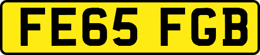 FE65FGB