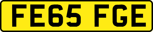 FE65FGE