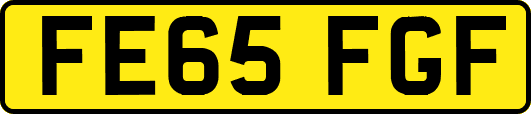FE65FGF