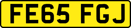 FE65FGJ