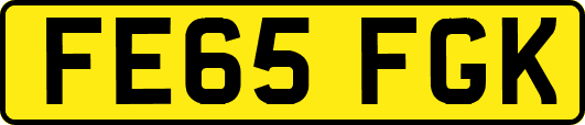 FE65FGK