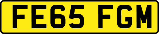FE65FGM
