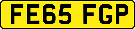 FE65FGP