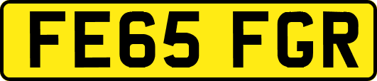 FE65FGR