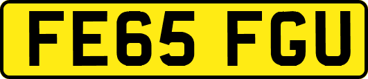 FE65FGU