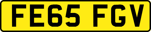 FE65FGV