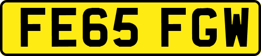 FE65FGW