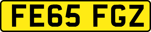 FE65FGZ