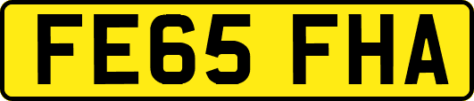 FE65FHA