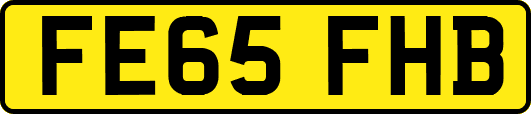 FE65FHB