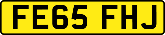 FE65FHJ