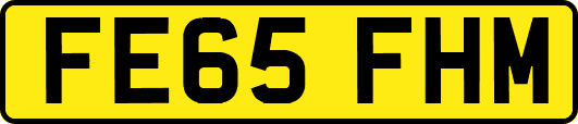 FE65FHM
