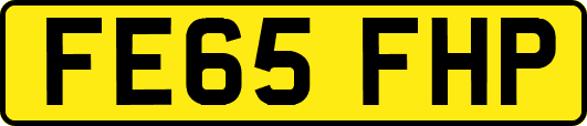 FE65FHP