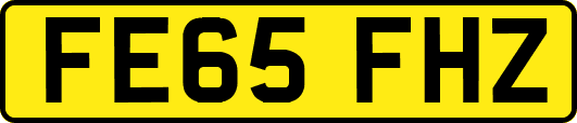FE65FHZ