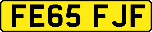 FE65FJF