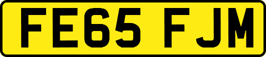 FE65FJM