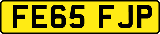 FE65FJP