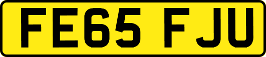 FE65FJU