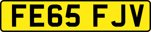 FE65FJV