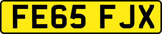 FE65FJX