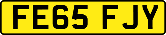 FE65FJY
