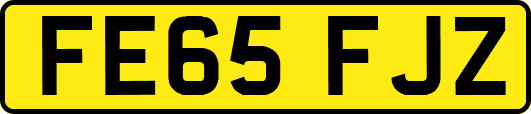 FE65FJZ