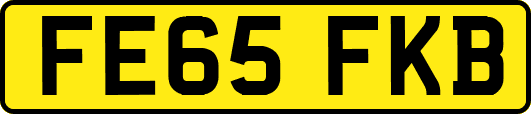 FE65FKB