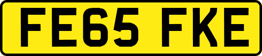 FE65FKE
