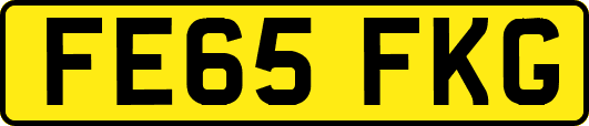 FE65FKG
