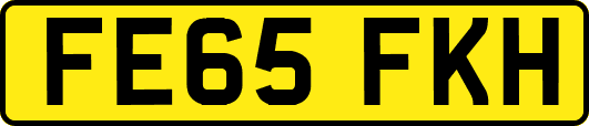 FE65FKH