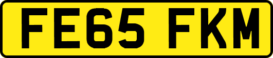 FE65FKM