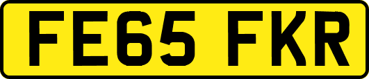 FE65FKR