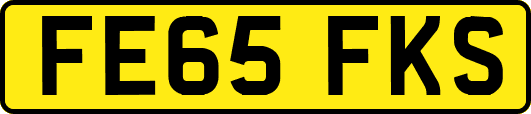 FE65FKS