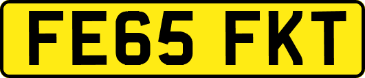 FE65FKT