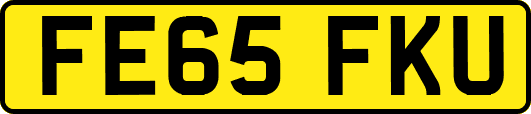 FE65FKU