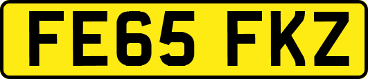FE65FKZ