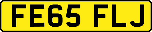 FE65FLJ