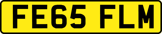 FE65FLM