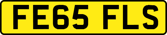 FE65FLS
