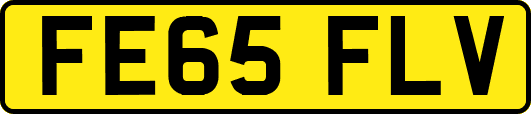FE65FLV