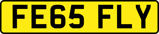 FE65FLY