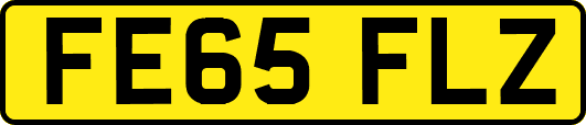FE65FLZ